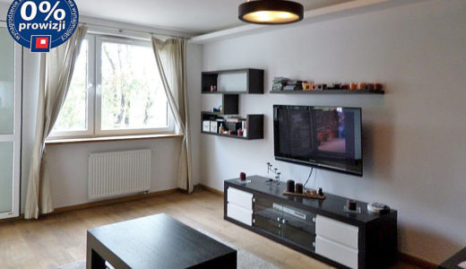 komfortowy salon w mieszkaniu do wynajęcia we Wrocławiu