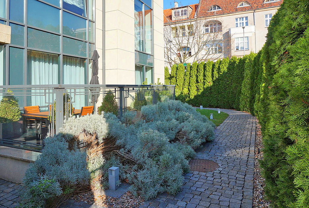 zadbane i zagospodarowane zielenią otoczenie budynku, w którym znajduje się oferowane na wynajem mieszkanie Wrocław