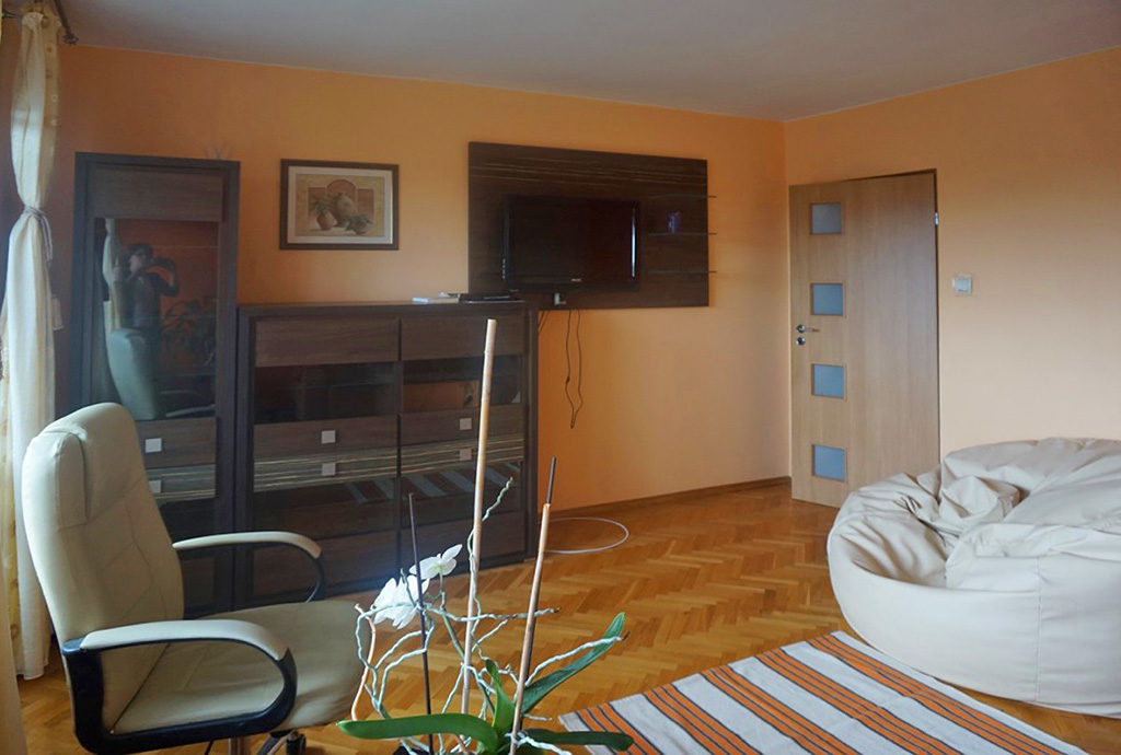 nowocześnie zaaranżowany salon w mieszkaniu na wynajem Wrocław Psie Pole