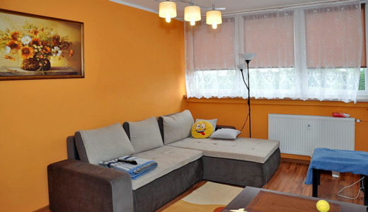 komfortowy salon w mieszkaniu do wynajmu Wrocław okolice