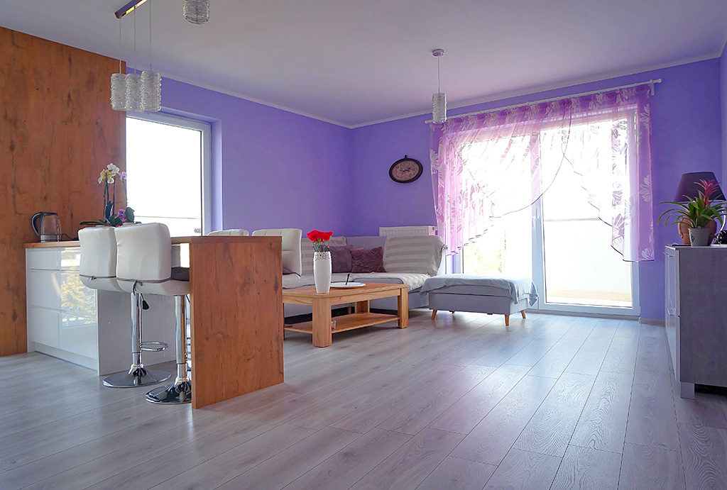 widok z aneksu kuchennego na salon w mieszkaniu na sprzedaż Wrocław Krzyki