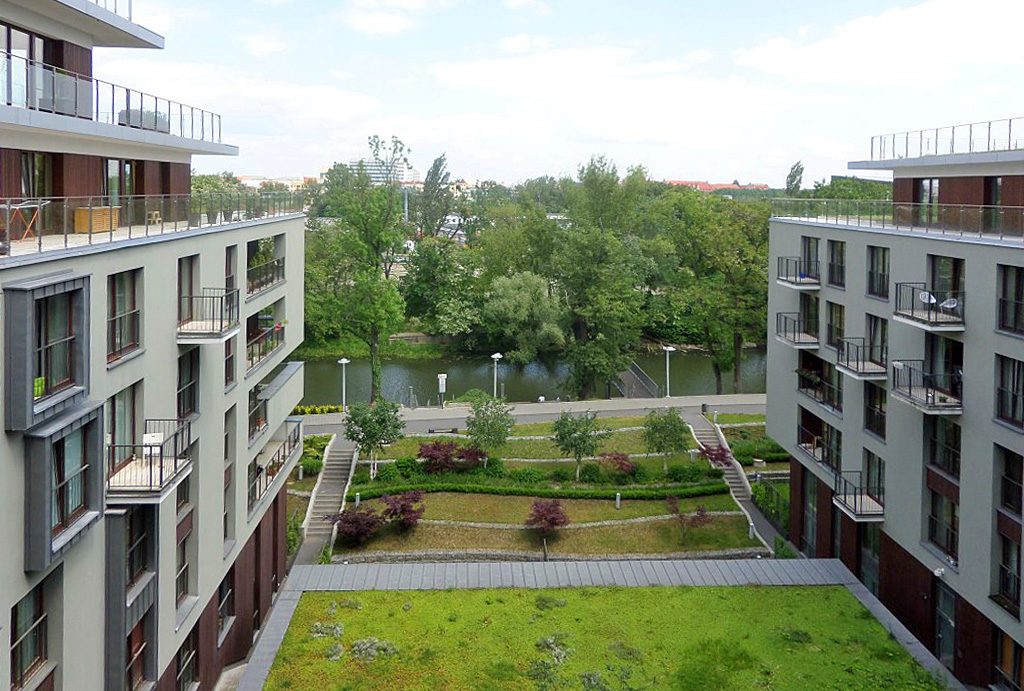 widok z okien na zieleń w mieszkaniu na wynajem Wrocław Krzyki