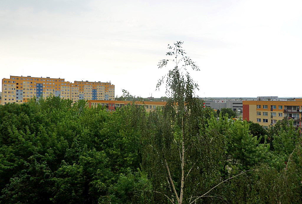 prestiżowa lokalizacja i otoczeniu zieleni – mieszkanie do wynajmu Wrocław Psie Pole