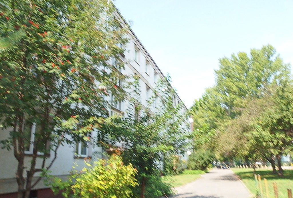 malownicza, zielona lokalizacja, gdzie znajduje się oferowane na sprzedaż mieszkanie Wrocław Krzyki 
