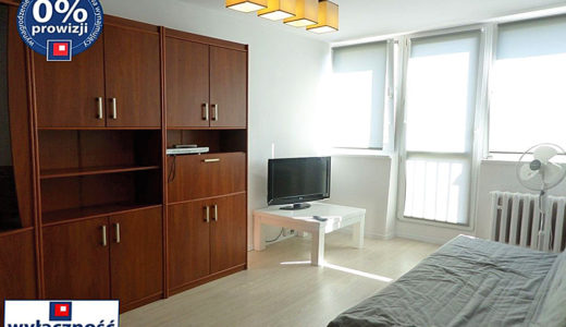 komfortowy salon w mieszkaniu na wynajem Wrocław Psie Pole