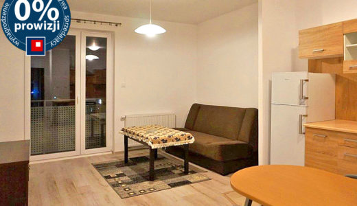 komfortowy salon w mieszkaniu do wynajęcia Wrocław (okolice)
