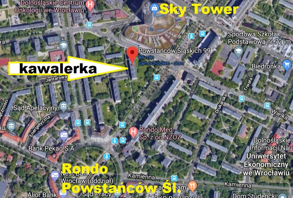 widok z lotu ptaka na lokalizację na planie miasta Wrocławia tego mieszkania do sprzedaży