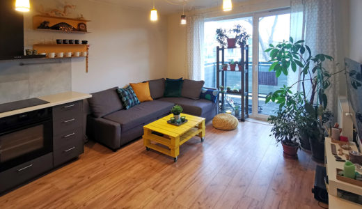 komfortowy salon w mieszkaniu na sprzedaż Wrocław Krzyki