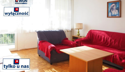 komfortowy salon w mieszkaniu do wynajęcia Wrocław Fabryczna