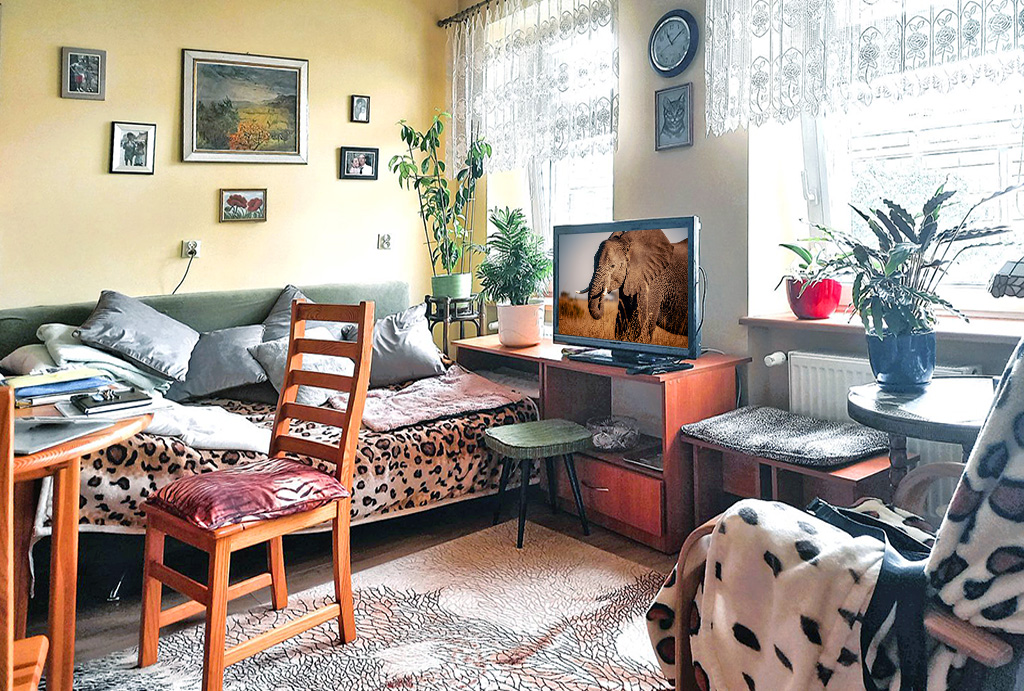 fragment salonu w mieszkaniu do sprzedaży Wrocław